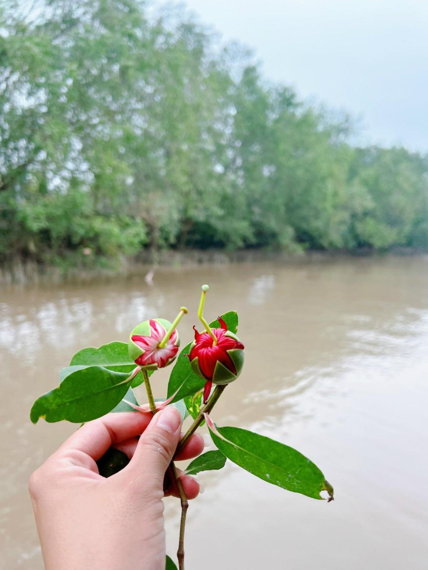 Hide Away Bungalows In Ben Tre City Εξωτερικό φωτογραφία