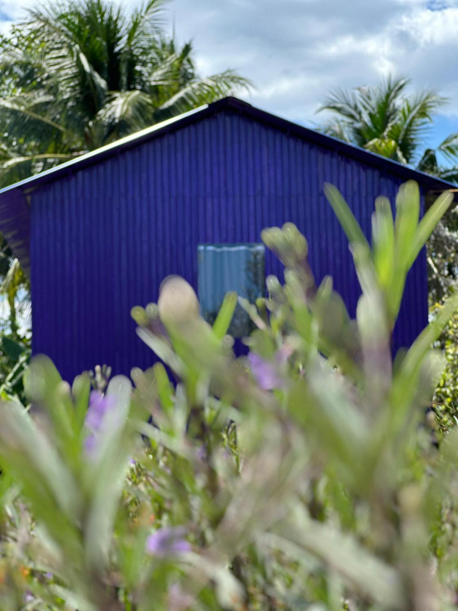 Hide Away Bungalows In Ben Tre City Εξωτερικό φωτογραφία