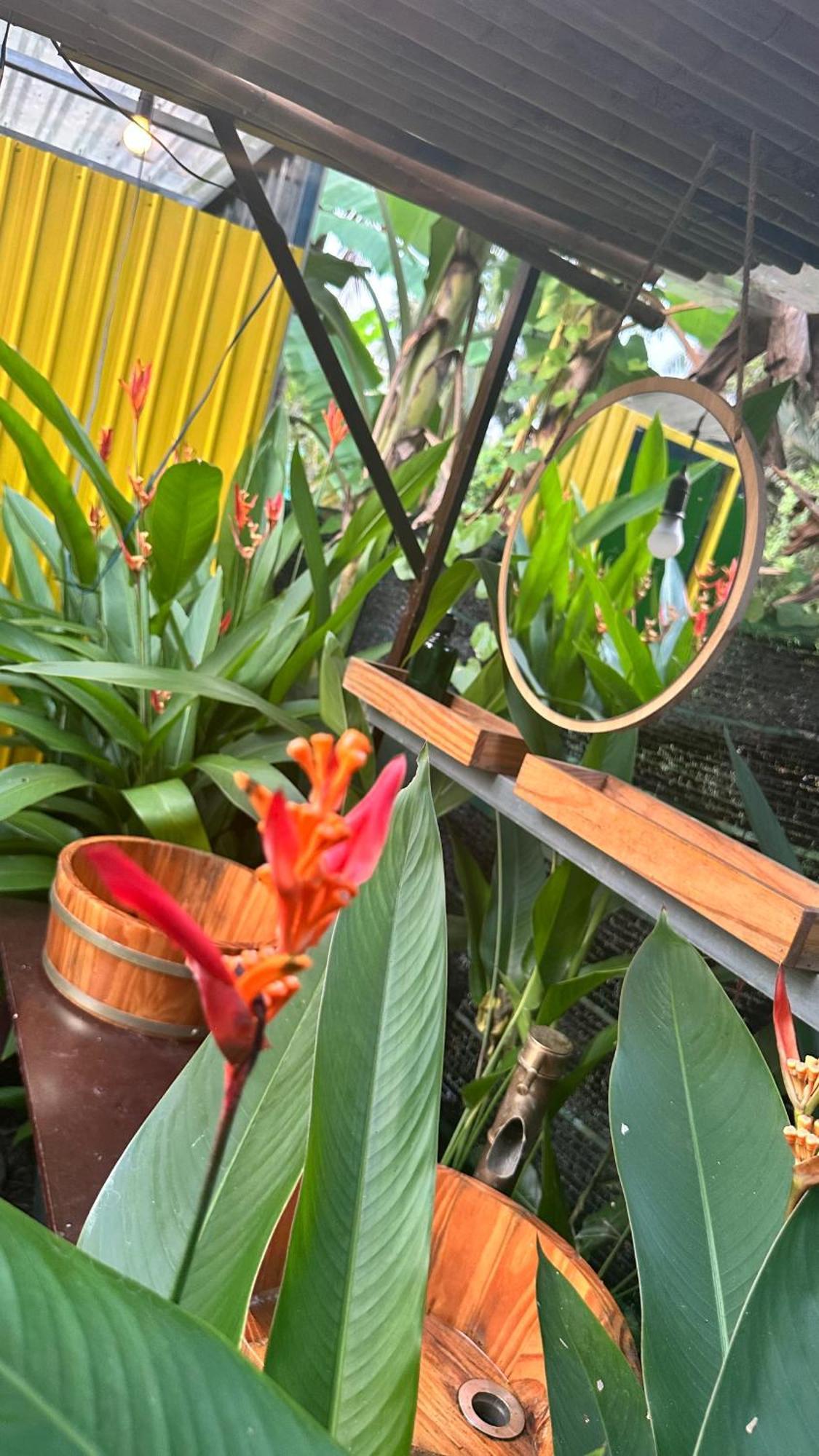 Hide Away Bungalows In Ben Tre City Εξωτερικό φωτογραφία