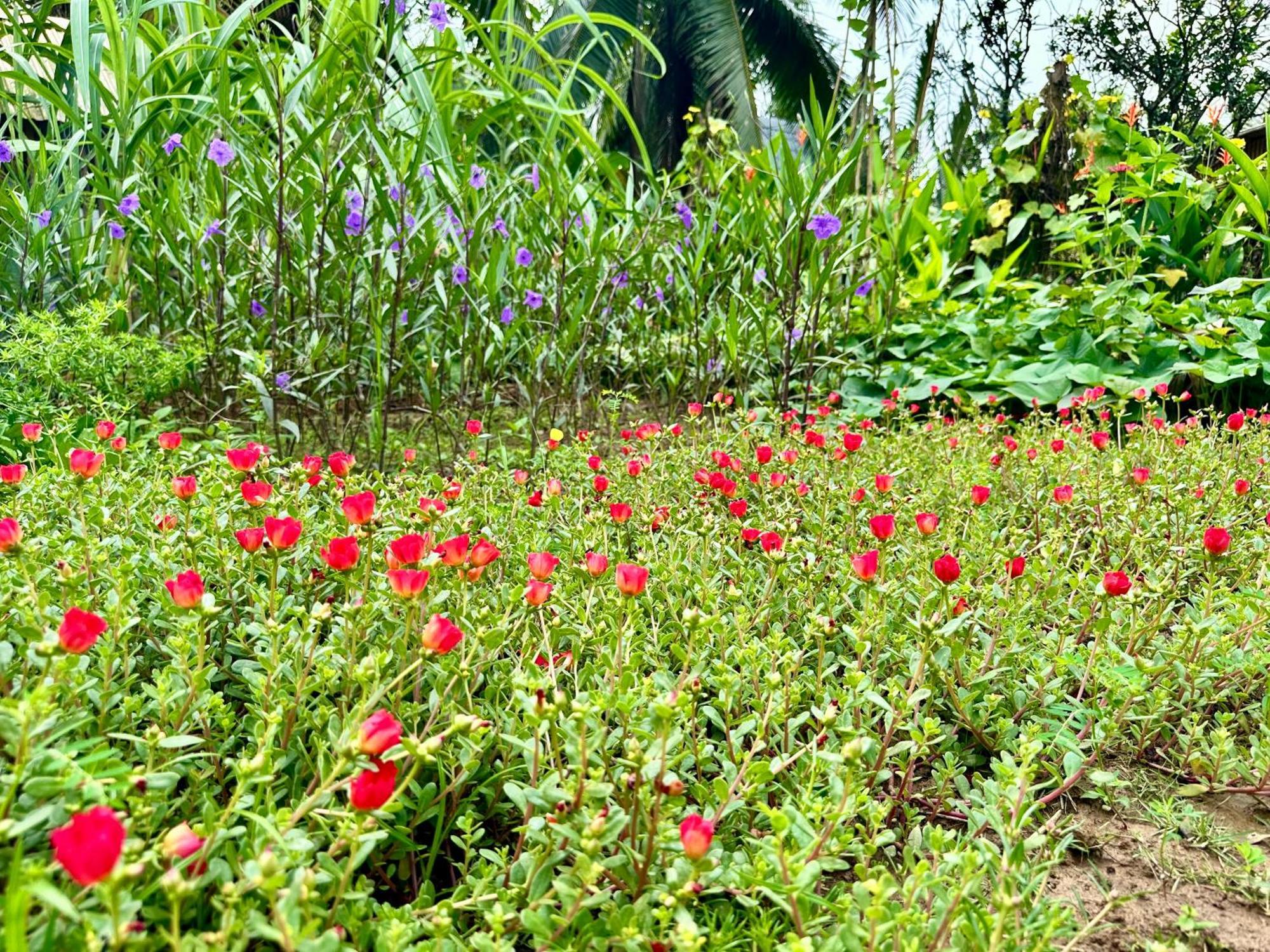 Hide Away Bungalows In Ben Tre City Εξωτερικό φωτογραφία